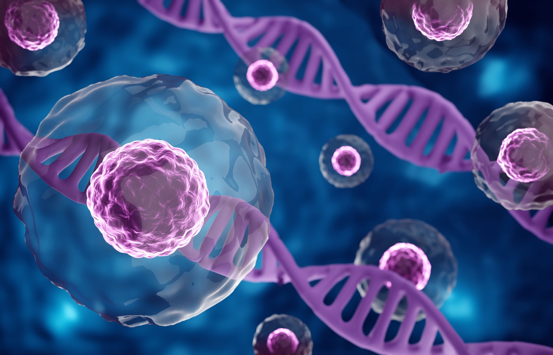 Research of stem cells. Stem cells under a microscope. Cellular Therapy